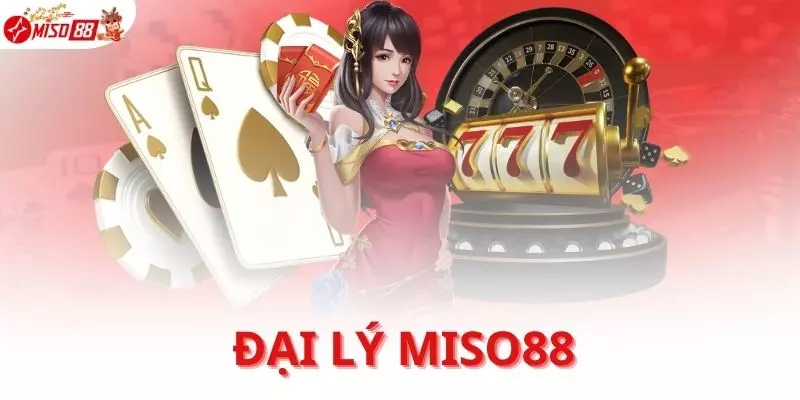 dai-ly-Miso88